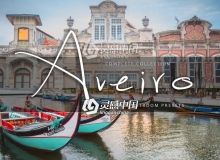 阿威罗旅拍风景城市街头摄影Lightroom预设 LR Presets | Aveiro