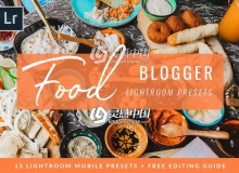 美食后期Lightroom Mobile App LR预设 Food Photography Lightroom Presets