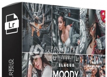 INS人像金属灰LR预设/手机修图LR预设 Moody Metal Lightroom Presets