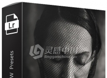 俄罗斯摄影师Romeo Alberti经典黑白胶片Lightroom预设