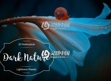 时尚复古风景摄影Lightroom预设 Dark Nature Lr Presets