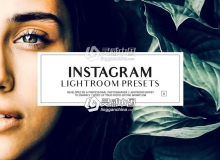 50个Ins博客复古胶片人像Lightroom预设instagram Lightroom Presets