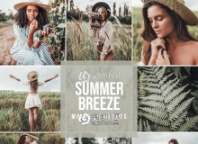 夏日微风棕褐色胶片调色LR移动预设 Mobile Lightroom Preset SUMMER