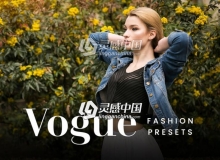 时尚人像摄影Lightroom预设 Vogue FX - Lightroom Presets