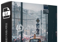 16套INS网红城市傍晚夜景黑金胶片风格LR预设