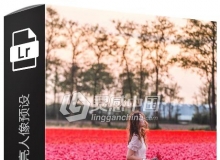 城市旅拍通透明亮人像Lightroom预设+手机版预设 Wine Lightroom
