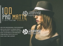 100组磨砂质感Lightroom预设 100 Pro Matte Lightroom Presets
