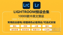 Lr预设 lightroom日系小清新婚礼人像风光城市夜景电影胶片后期调色LR预设 上万款LR预设安装包