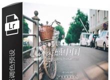 LR预设清新文艺日系森系滤镜PR/PS/FCPX/达芬奇/AE/LUT预设