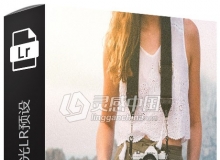光泄漏意外曝光Lightroom预设phlearn Light Leaks & Flares Lightroom