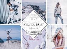 银色灰色调旅拍人像LR预设+手机APP滤镜 2 Silver lightroom presets