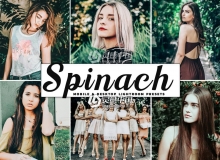 森系胶片人像Lightroom预设/APP预设Spinach Mobile Lightroom Presets