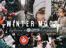 冬季假期人像LR预设+移动APP预设 Moody WINTER MOOD Lightroom Presets