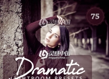 76组怀旧磨砂胶片感人像手机版LR预设 75 Dramatic Lightroom Presets