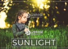 自然光人像调整Lightroom预设+手机版预设 Sunlight Lightroom Presets Pack