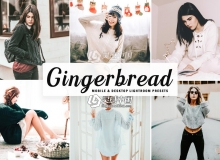明亮温暖时尚人像Lightroom预设+移动APP预设 Gingerbread Lightroom