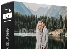 爱情故事婚礼人像Lightroom预设 Love Story Lightroom Presets
