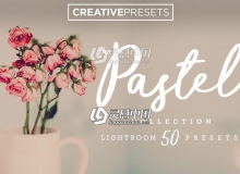 婚礼儿童人像摄影棉花糖风格Lightroom预设 Pastel Tones Lightroom Presets