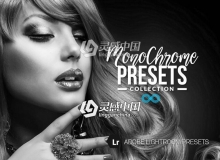 黑白单色Lightroom预设 Photonify - Monochrome Collection Lightroom Presets