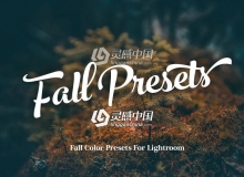 秋季旅行摄影Lightroom预设 Fall Presets 2018 Lightroom Preset