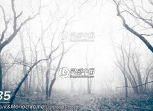 85个黑暗和单色Lightroom预设 85 Dark & Monochrome Lightroom Presets