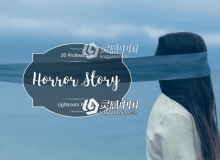冷色系人像摄影Lightroom预设 Horror Story Lr Presets