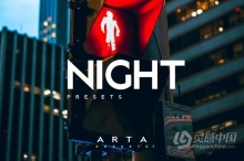 城市霓虹夜景赛博朋克效果LR调色预设 ARTA Night Presets For Mobile and Desktop