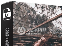葡萄牙摄影师Cris Santoro虚构色彩人像摄影Lightroom预设