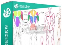 SAI人体基础实例训练教程