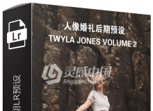 摄影师Twyla Jones人像婚礼后期Lightroom预设 Volume 2 Lightroom