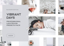 简约轻奢灰色调LR预设/APP预设 Vibrant Lightroom Presets Mobile