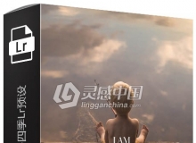 温暖清新春夏秋冬四季Lightroom预设 Meg Loeks - Meridian Presets