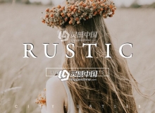 微妙电影胶片桌面+移动Lightroom预设 Subtle Film RUSTIC Lightroom Presets