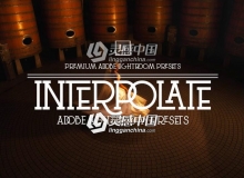 电影色调Lightroom预设合集 Interpolate Lightroom Presets
