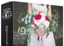 Julia Trotti婚纱胶片人像Lightroom预设 Julia Trotti – The Wedding Collection