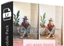 移动应用iPhone手机胶片Lightroom预设 Jaci Marie Mobile Pack