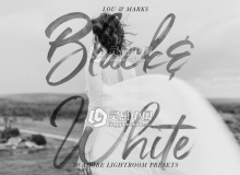 黑白胶片音乐灯光Lightroom预设/ACR预设 Black & White Presets LR//PS