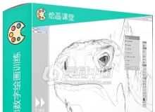 入门级简单素描轮廓数字绘画训练视频教程