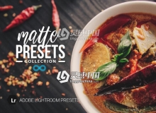 磨砂哑光美食摄影Lightroom预设 Photonify - Matte Collection Lightroom