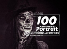 100高级单色肖像Lightroom预设 Monochrome Portrait - 100 Lr Add