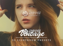 磨砂复古风LR预设 Vintage - Lightroom Presets