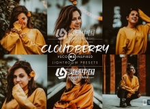 现代VSCOCam M5人像Lightroom预设 Cloudberry Lightroom Preset