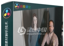 DaVinci达芬奇原始视频素材解析技术视频教程