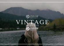 复古电影胶片Lightroom预设 Vintage Film Presets Pack