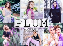 水洗淡紫色时尚人像LR预设/手机APP预设 Plum Pro Lightroom Presets