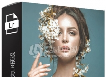 专业婚礼婚庆LR预设 Wedding Lightroom Presets