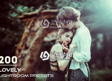 200个唯美梦幻暗色系Lightroom预设 200 Lovely Lightroom Presets
