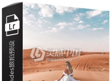 摄影师Micheli Fernandes旅拍lr预设+手机版lr预设 Minimal Presets