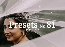 10款经典婚礼胶片Lightroom预设10 Wedding Lightroom Presets
