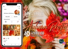 INS浪漫秋季风景人像Lightroom预设+手机版APP预设